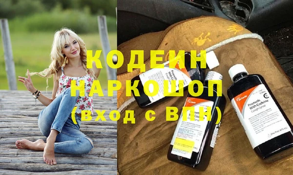 молекула духа Вяземский