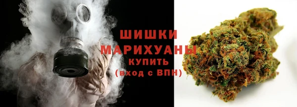 бошки Горняк