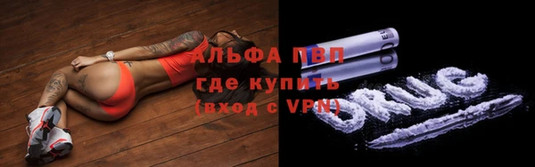 молекула духа Вяземский