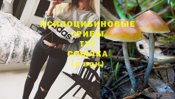 ГАЛЛЮЦИНОГЕННЫЕ ГРИБЫ Новочеркасск