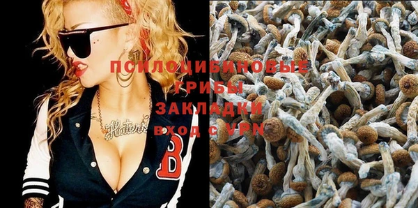 бошки Горняк