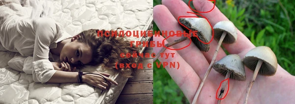 экстази Горнозаводск